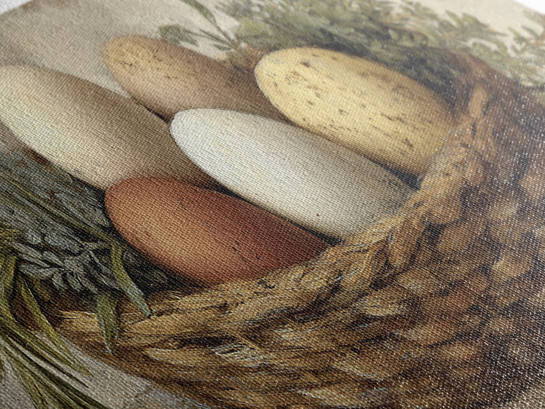 Fresh Eggs in a Woven Basket with Canvas Print, Bed and Breakfast Art, Coffee Art, Living Room Decor, Watercolor Art, BAB-3x1-94