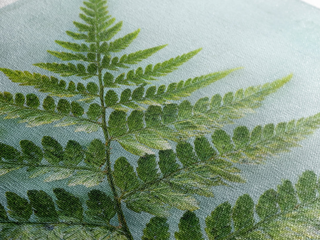Green Fern Frond Closeup Canvas Print, Bathroom Art, Bathroom Prints, Bathroom Decor, Fine Art, Spa, Trendy Wall Art, BAT-1x1-10