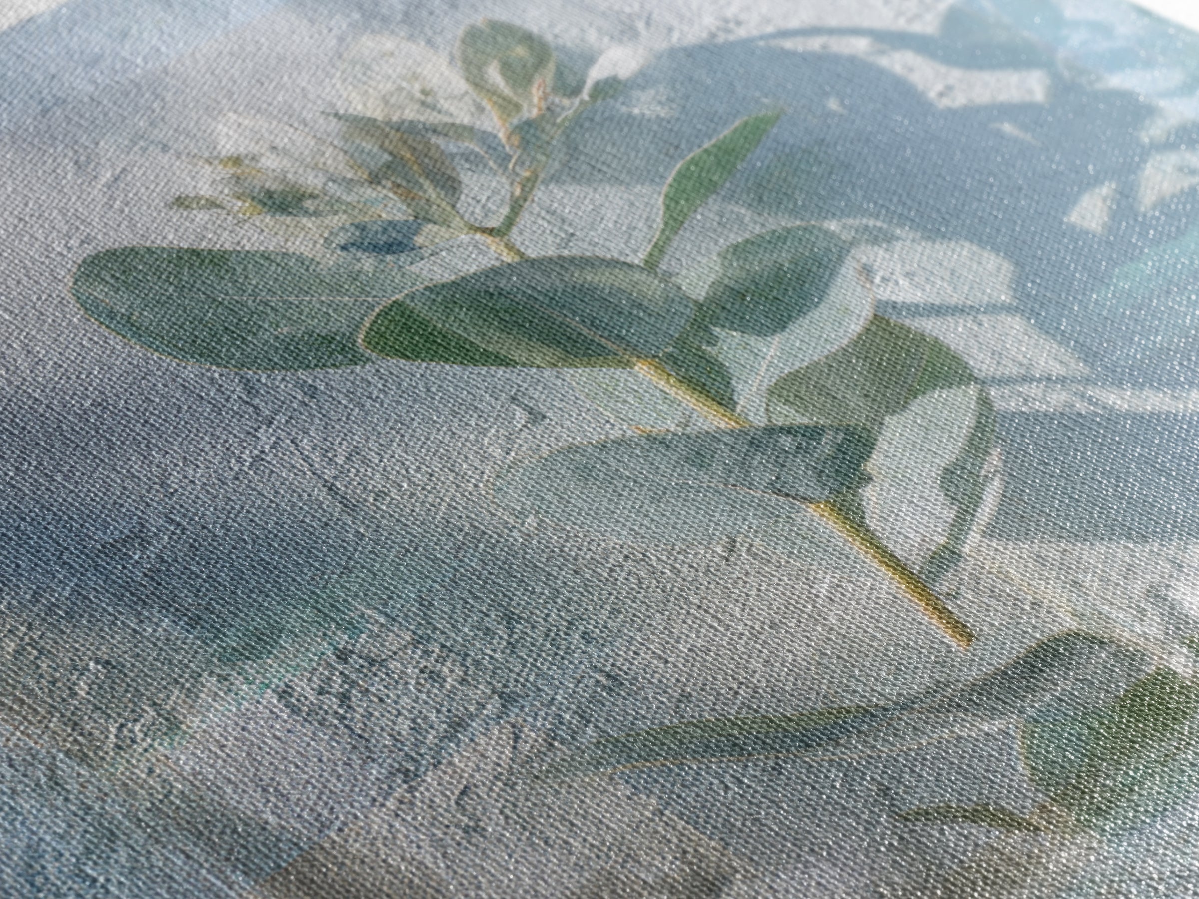 Sunlit Window Plant Shadow on Plaster Framed Canvas Print, Bathroom Art, Unique Wall Art, Bathroom Decor, Abstract Art, Spa, BAT-1x1-42