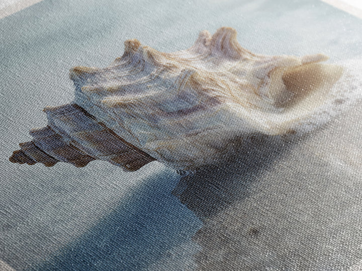 Minimal Seashell Still Life on Pale Sand Framed Canvas Print, Bathroom Art, Minimalist Wall Art, Bathroom Decor, Oil Painting, BAT-1x1-51