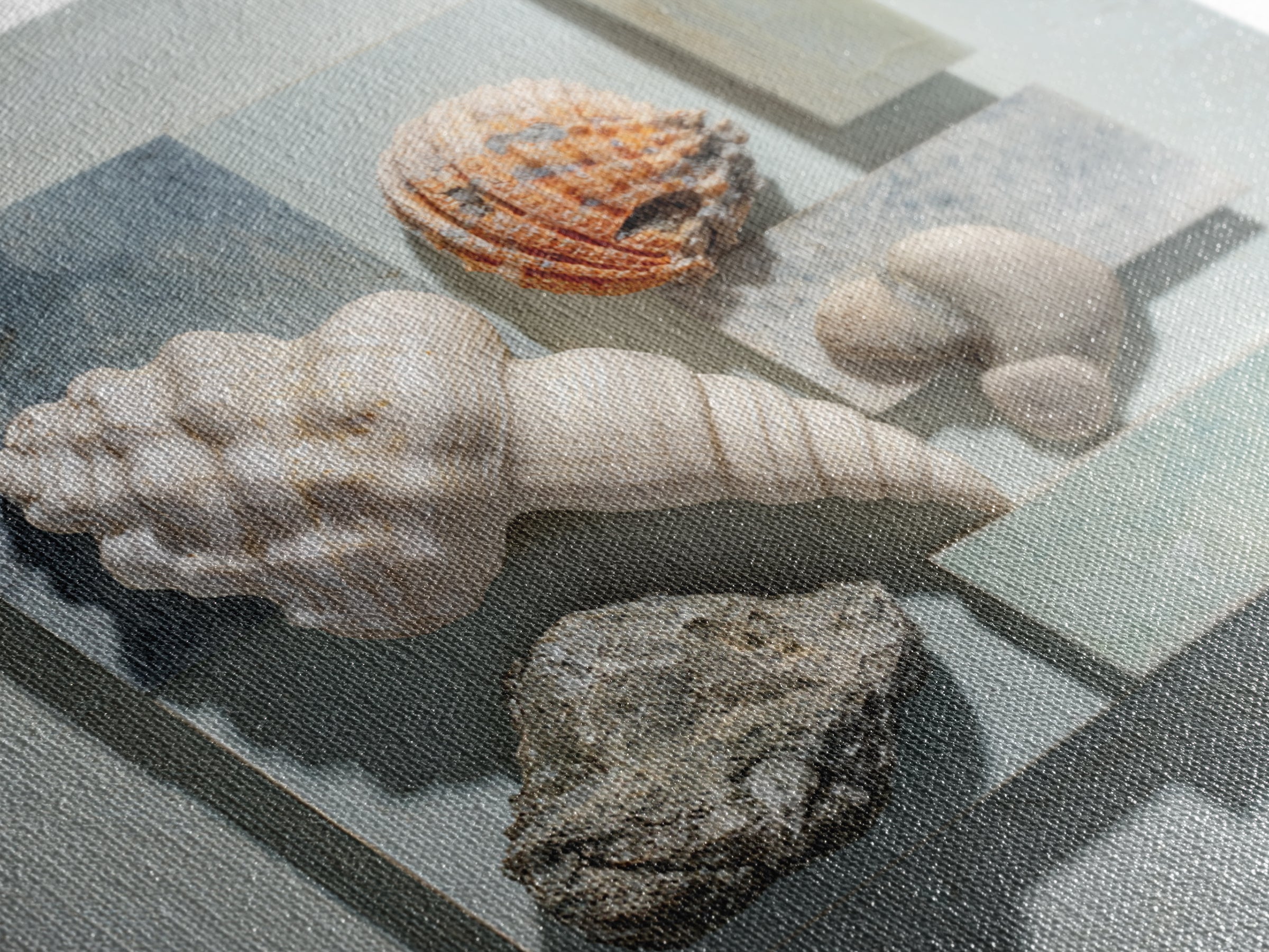 Coral and Shell Arrangement Canvas Print, Bathroom Art, Funny Bathroom Art, Bathroom Decor, Fine Art, Spa, Art Print, BAT-1x1-59