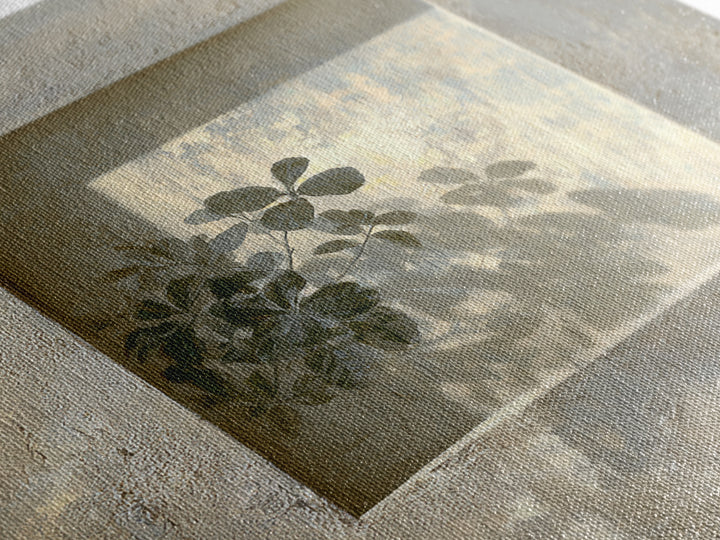 Sunlit Window Plant Shadow on Plaster Framed Canvas Print, Bathroom Art, Unique Wall Art, Bathroom Decor, Abstract Art, Spa, BAT-1x1-66