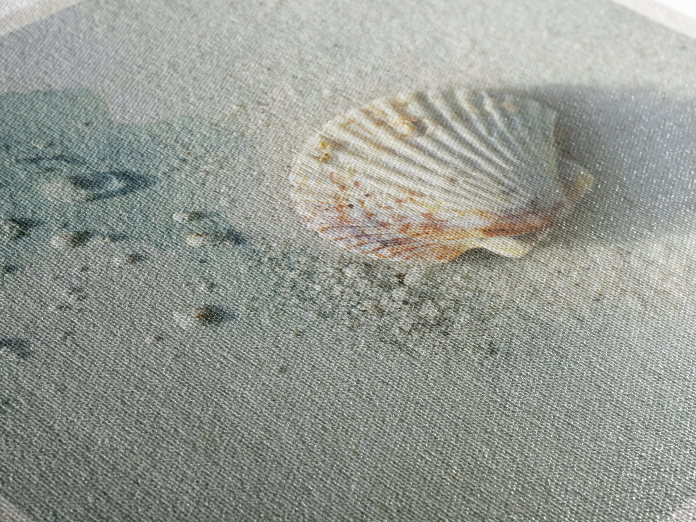 Minimal Seashell Still Life on Pale Sand Canvas Print, Bathroom Art, Gallery Decor, Bathroom Decor, Spa, Minimalist Decor, BAT-1x1-75