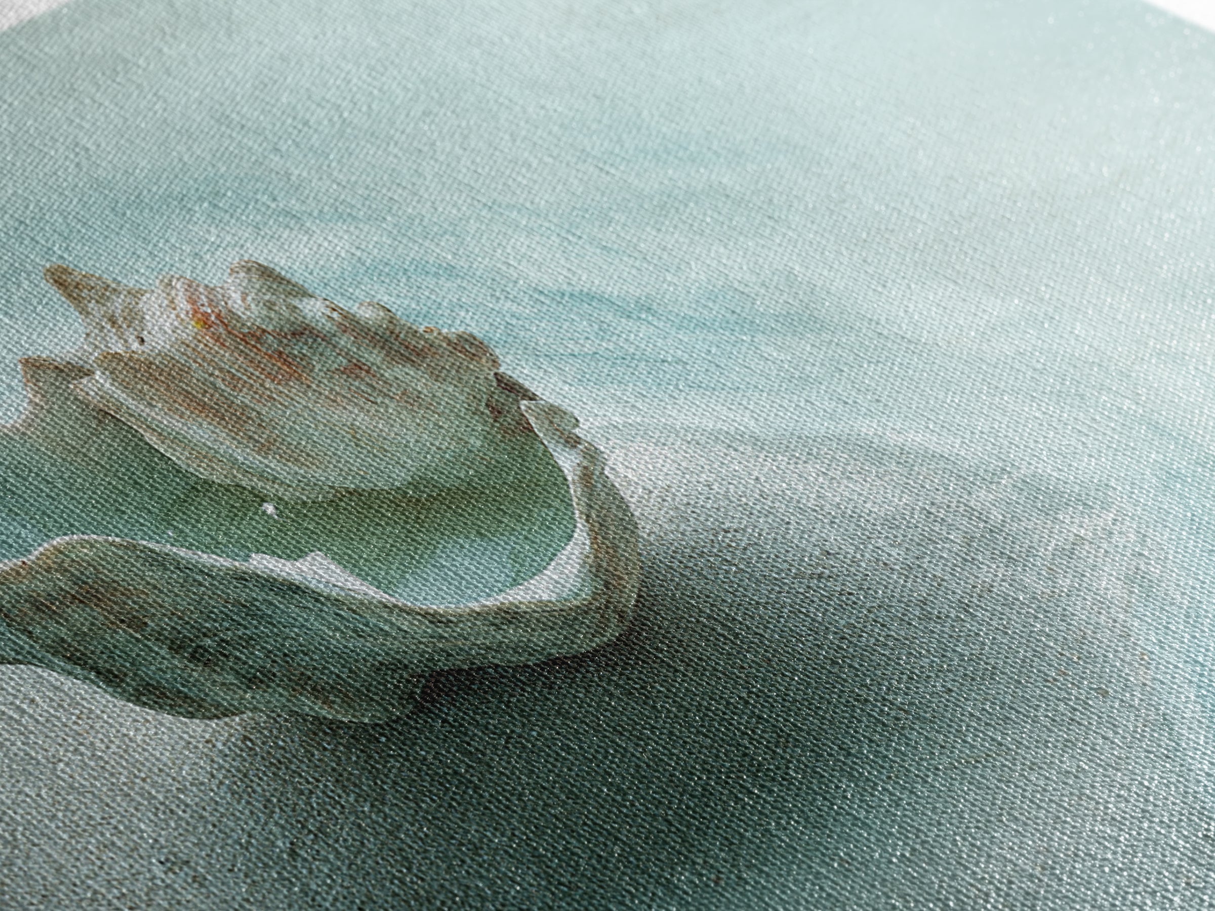 Minimal Seashell Still Life on Pale Sand Canvas Print, Bathroom Art, Bathroom Wall Art, Bathroom Decor, Oil Painting, Spa, BAT-2x1-47