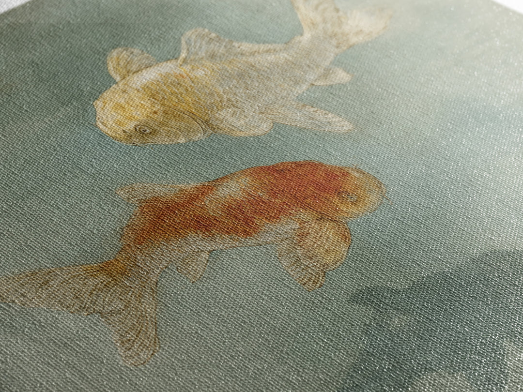 Minimal Koi Fish Swimming Through Clear Water Canvas Print, Bathroom Art, Digital Print, Bathroom Decor, Fine Art, Spa, BAT-2x1-76