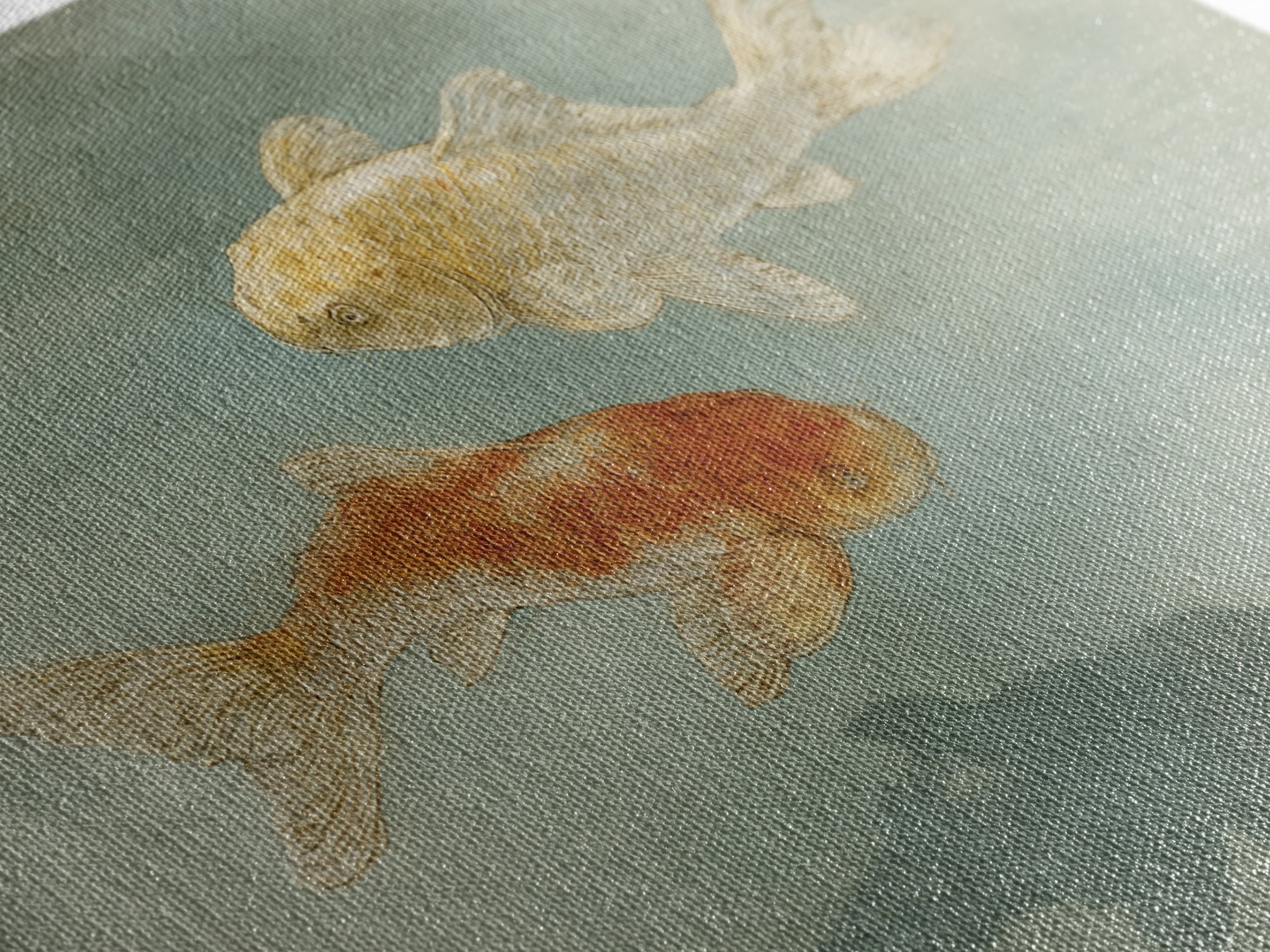 Minimal Koi Fish Swimming Through Clear Water Canvas Print, Bathroom Art, Digital Print, Bathroom Decor, Fine Art, Spa, BAT-2x1-76
