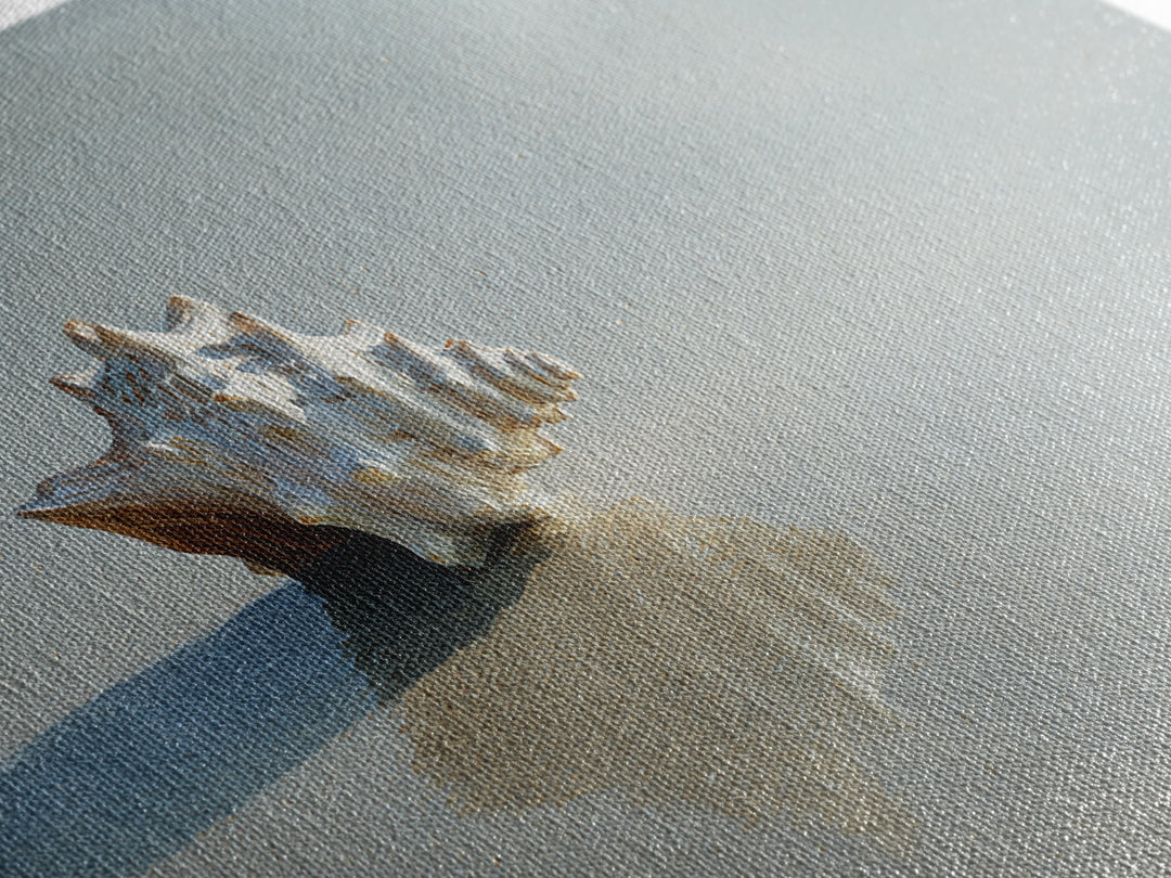 Minimal Seashell Still Life on Pale Sand Framed Canvas Print, Bathroom Art, Bathroom Wallpaper, Bathroom Decor, Fine Art, Spa, BAT-2x1-95