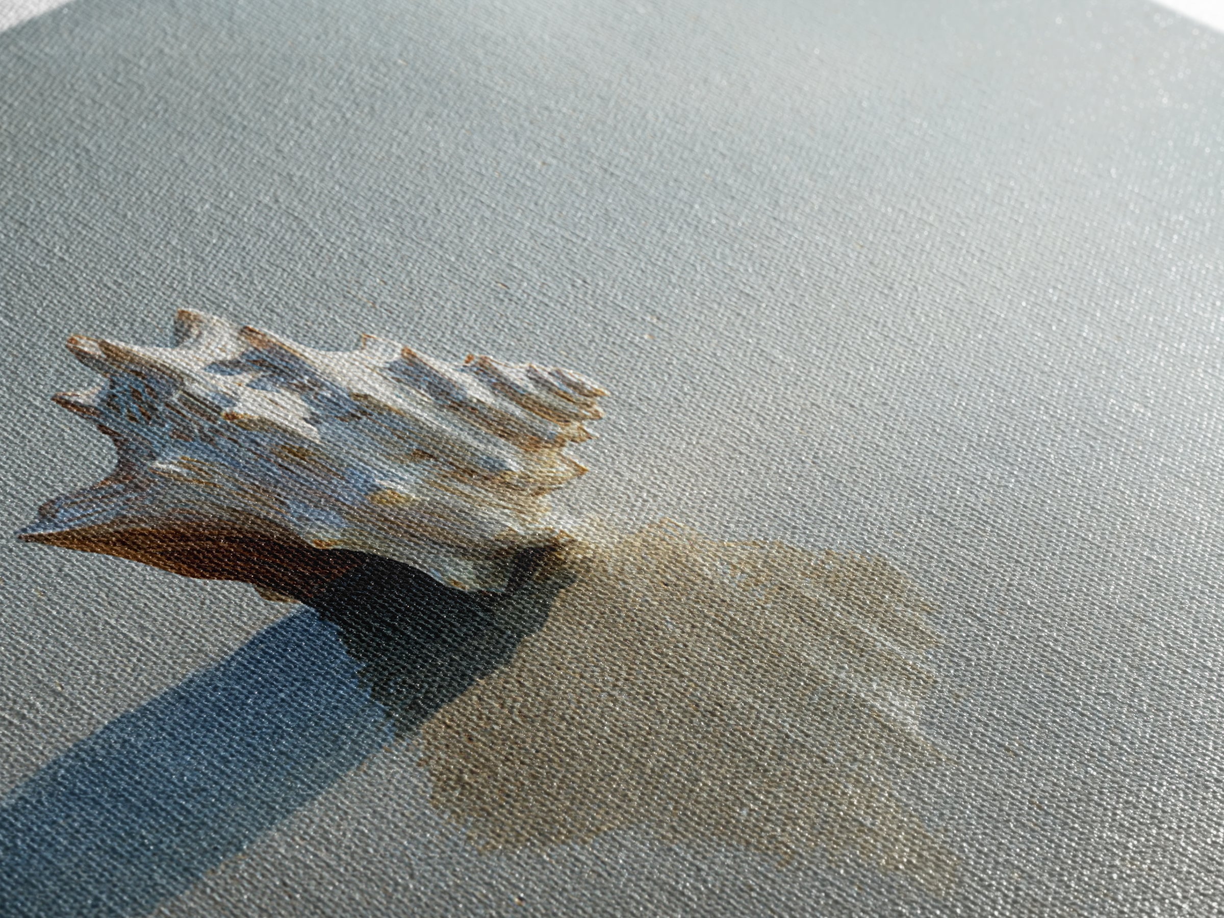 Minimal Seashell Still Life on Pale Sand Framed Canvas Print, Bathroom Art, Bathroom Wallpaper, Bathroom Decor, Fine Art, Spa, BAT-2x1-95