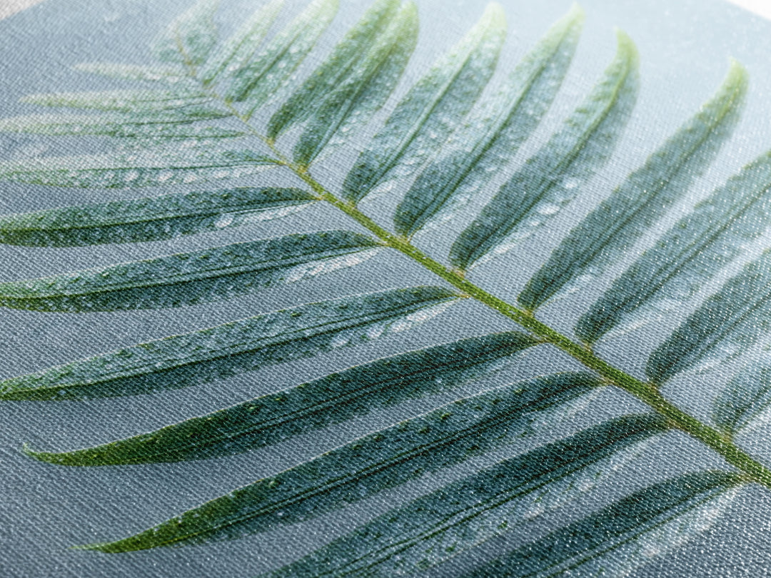 Green Fern Frond Closeup Framed Canvas Print, Bathroom Art, Fine Art Print, Bathroom Decor, Watercolor Art, Spa, Poster, BAT-2x3-18