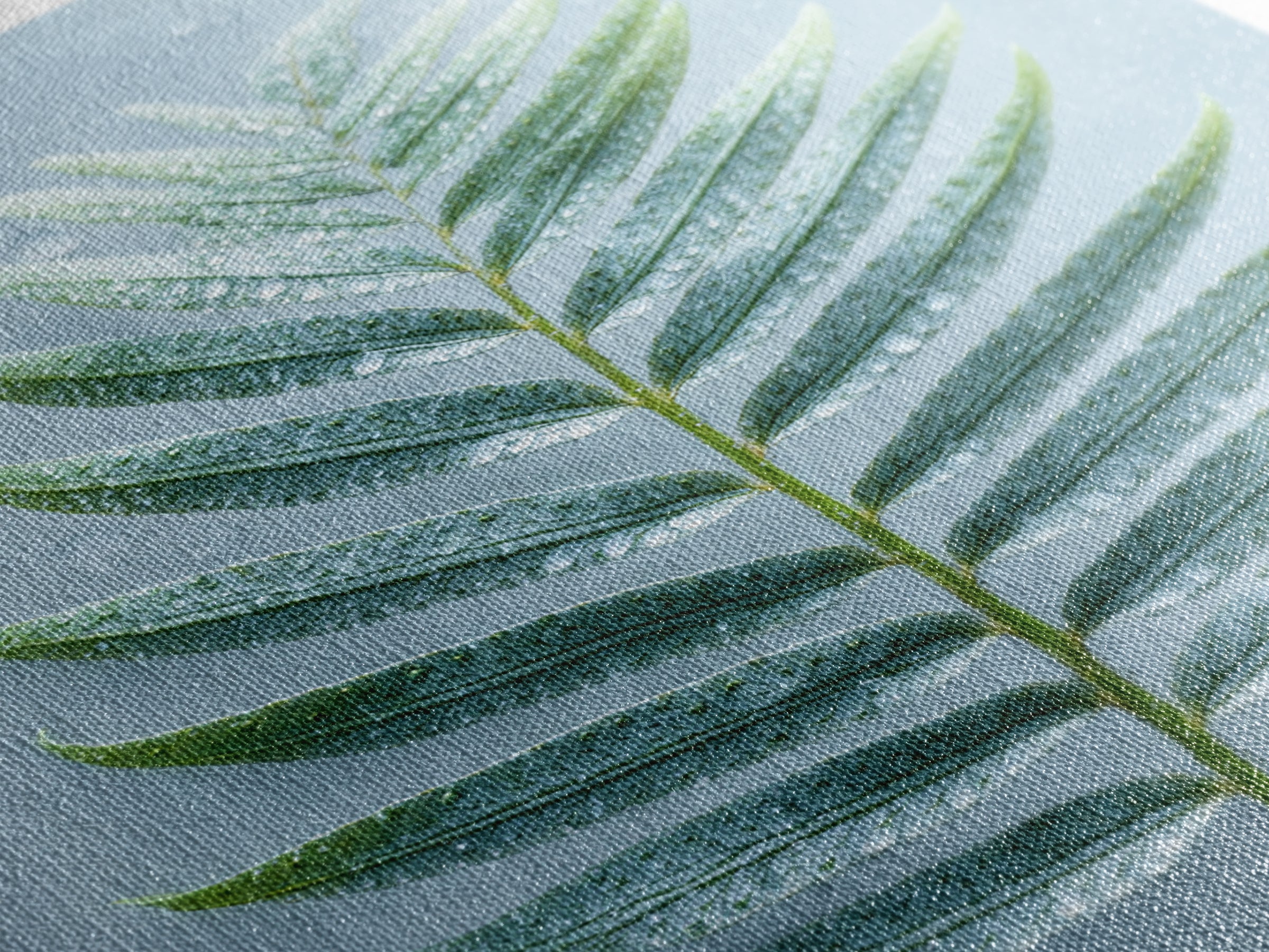 Green Fern Frond Closeup Framed Canvas Print, Bathroom Art, Fine Art Print, Bathroom Decor, Watercolor Art, Spa, Poster, BAT-2x3-18
