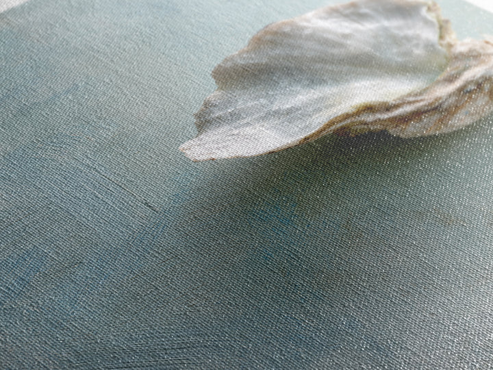 Oyster Shell Study Framed Canvas Print, Bathroom Art, Wall Decor, Bathroom Decor, Fine Art, Spa, Contemporary Art, Wall Art, BAT-2x3-30