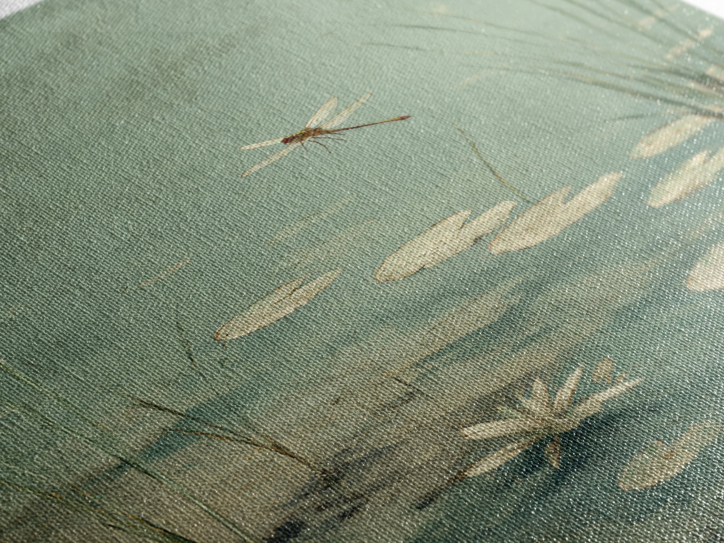 Delicate Dragonfly Above a Pond Surface Canvas Print, Bathroom Art, Bathroom Wall Decor, Bathroom Decor, Fine Art, Spa, BAT-2x3-32