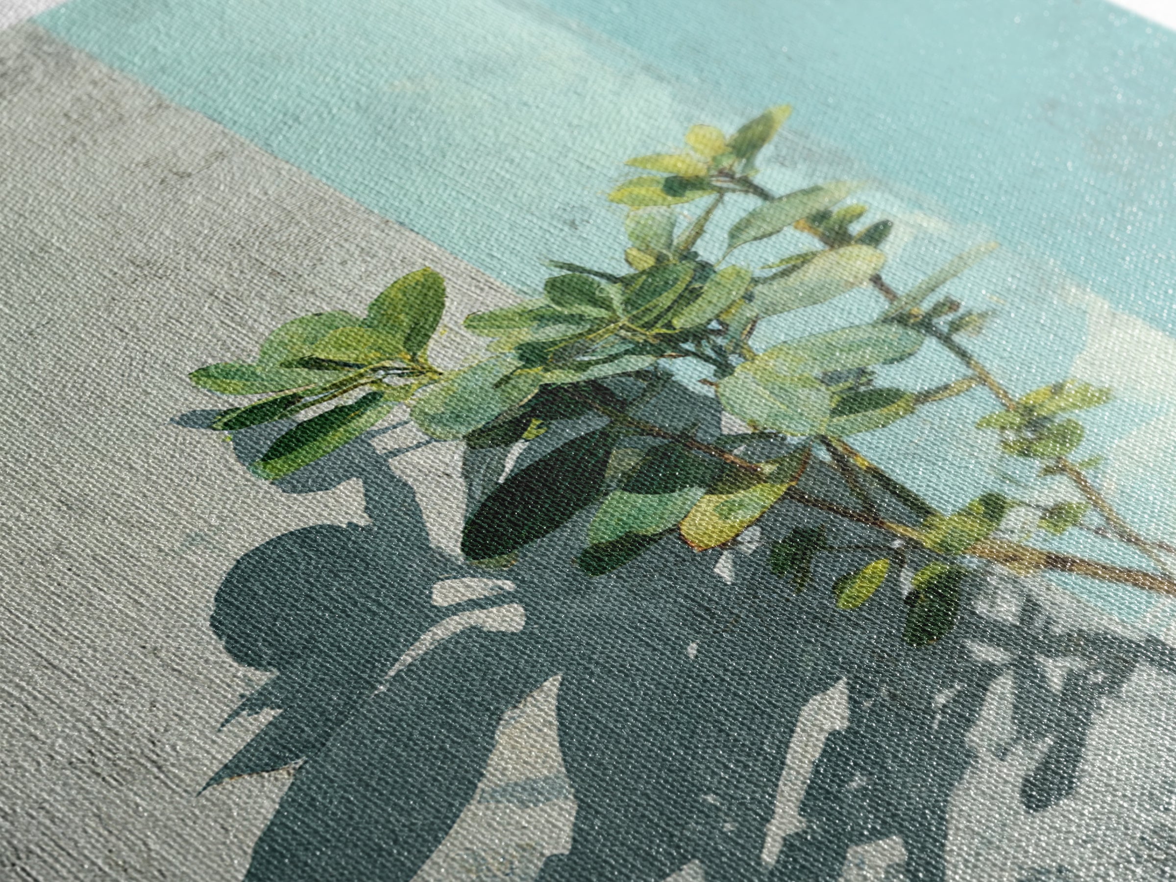 Sunlit Window Plant Shadow on Plaster Canvas Print, Bathroom Art, Boho Decor, Bathroom Decor, Fine Art, Spa, Printable, BAT-2x3-50