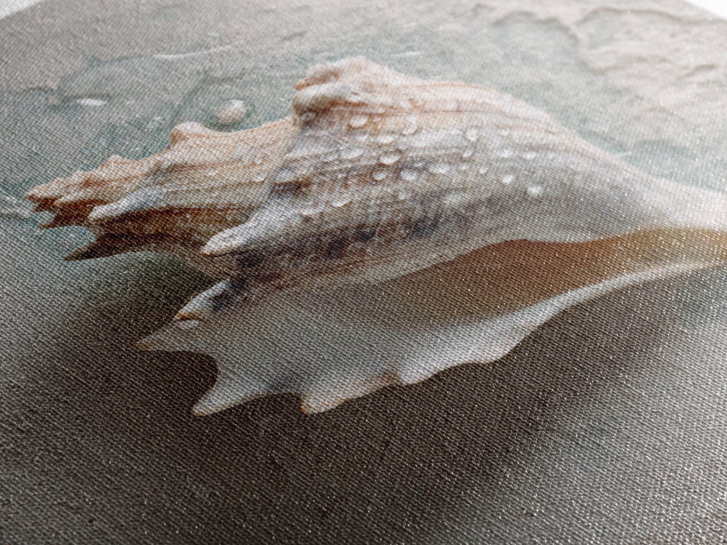 Minimal Seashell Still Life on Pale Sand Framed Canvas Print, Bathroom Art, Boho Decor, Bathroom Decor, Oil Painting, Spa, BAT-2x3-59