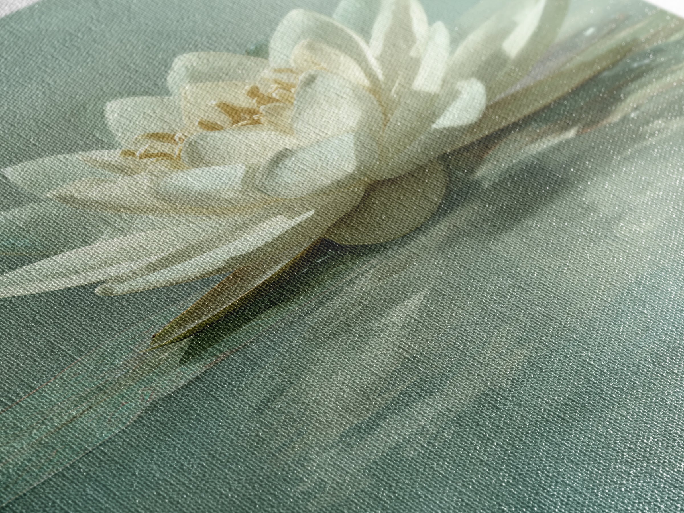 Lotus Flower Floating on Calm Water Framed Canvas Print, Bathroom Art, Digital Wall Art, Bathroom Decor, Fine Art, Spa, BAT-2x3-76