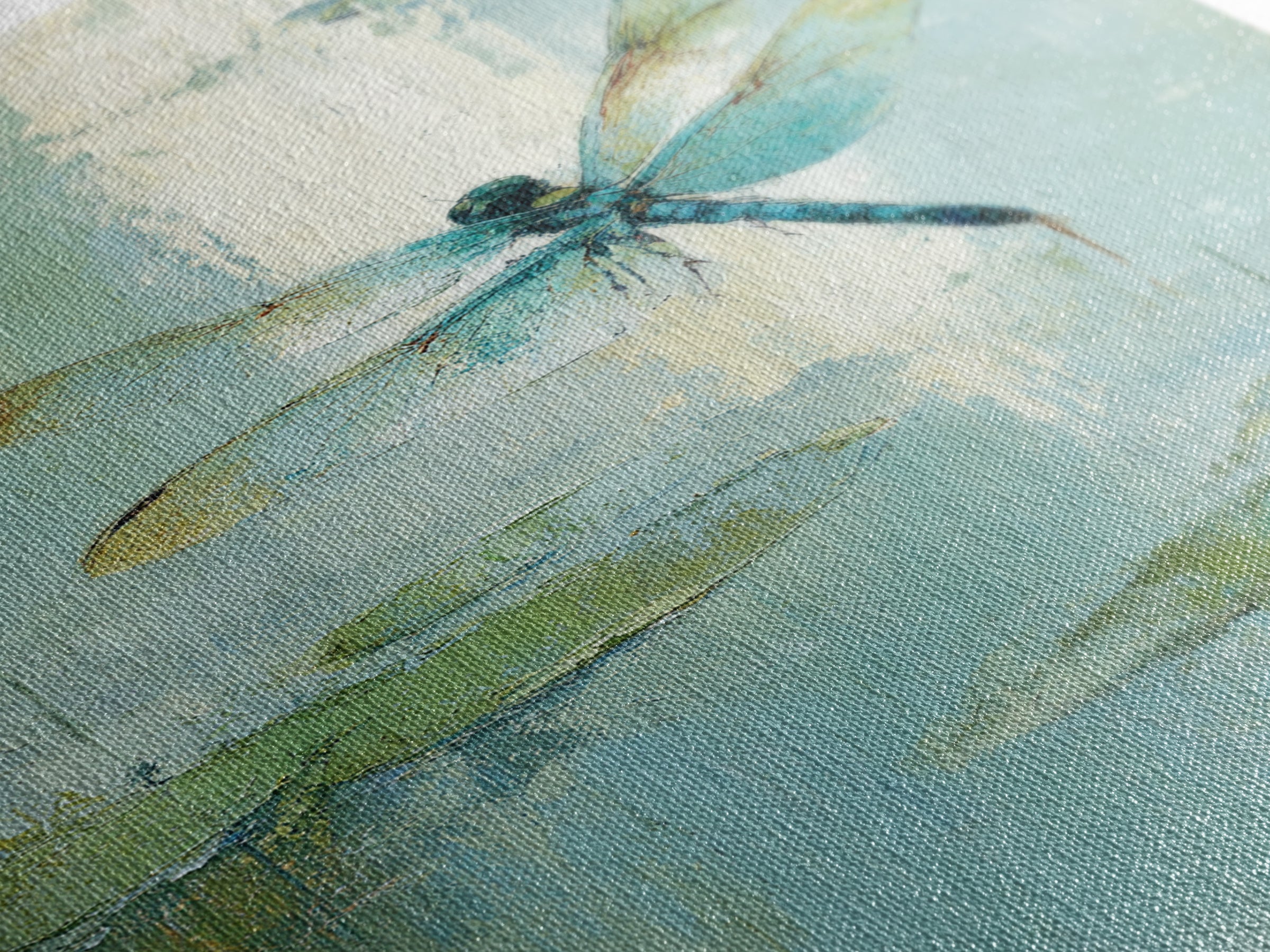 Delicate Dragonfly Above a Pond Surface Framed Canvas Print, Bathroom Art, Fine Art Print, Bathroom Decor, Fine Art, Spa, BAT-2x3-80