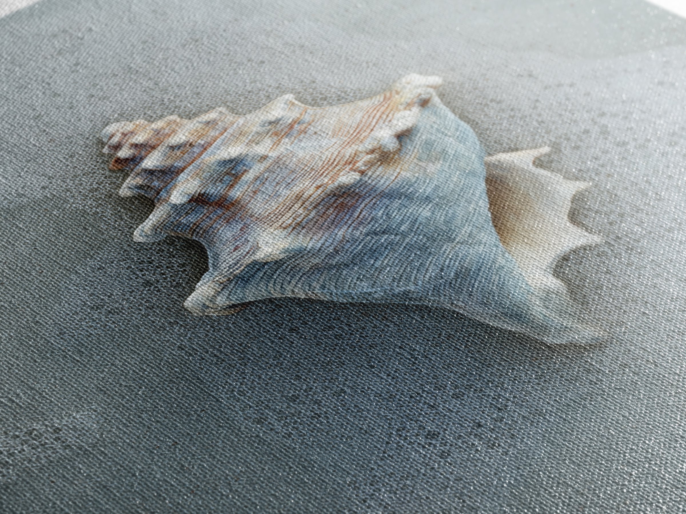 Minimal Seashell Still Life on Pale Sand Framed Canvas Print, Bathroom Art, Digital Art, Bathroom Decor, Abstract Art, Spa, BAT-2x3-83