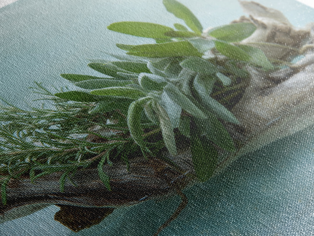 Botanical Bath Herb Arrangement Canvas Print, Bathroom Art, Bathroom Decor, Fine Art, Spa, Bathroom Accessories, Modern Art, BAT-3x2-21