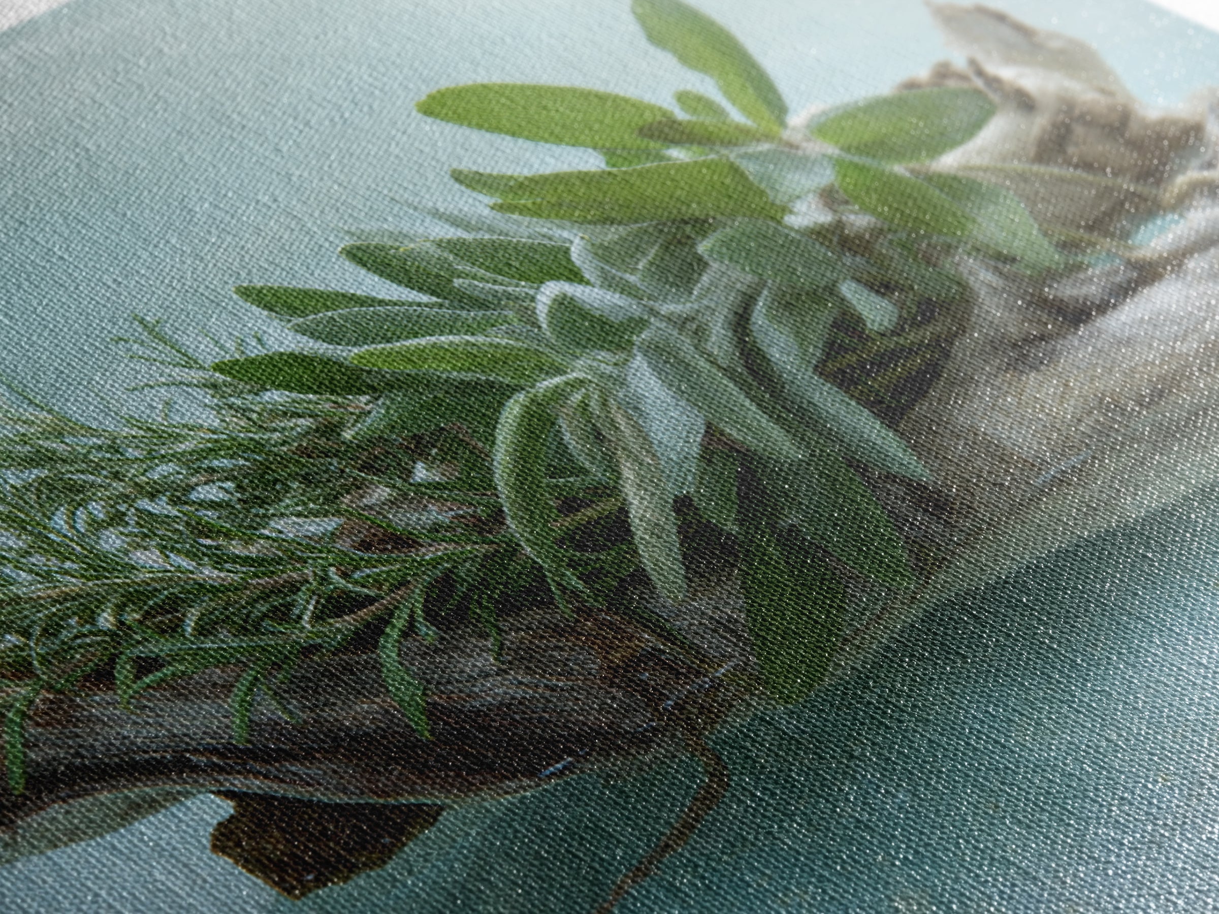 Botanical Bath Herb Arrangement Canvas Print, Bathroom Art, Bathroom Decor, Fine Art, Spa, Bathroom Accessories, Modern Art, BAT-3x2-21