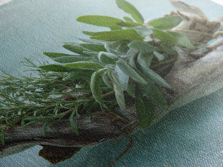 Botanical Bath Herb Arrangement Canvas Print, Bathroom Art, Bathroom Decor, Fine Art, Spa, Bathroom Accessories, Modern Art, BAT-3x2-21