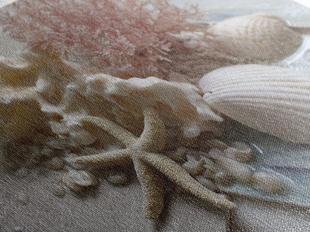 Coral and Shell Arrangement Framed Canvas Print, Bathroom Art, Retro Wall Art, Bathroom Decor, Fine Art, Spa, Modern Decor, BAT-3x2-39