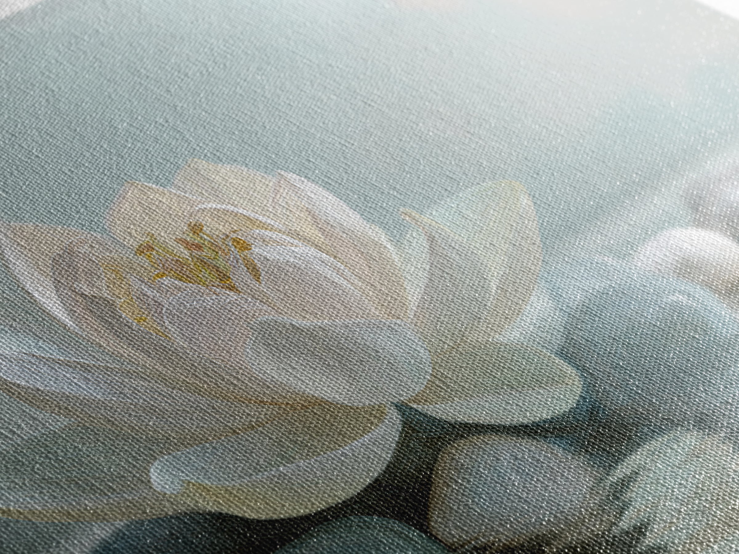 Lotus Flower Floating on Calm Water Canvas Print, Bathroom Art, Framed Wall Art, Bathroom Decor, Spa, Bathroom Art Decor, BAT-3x2-48