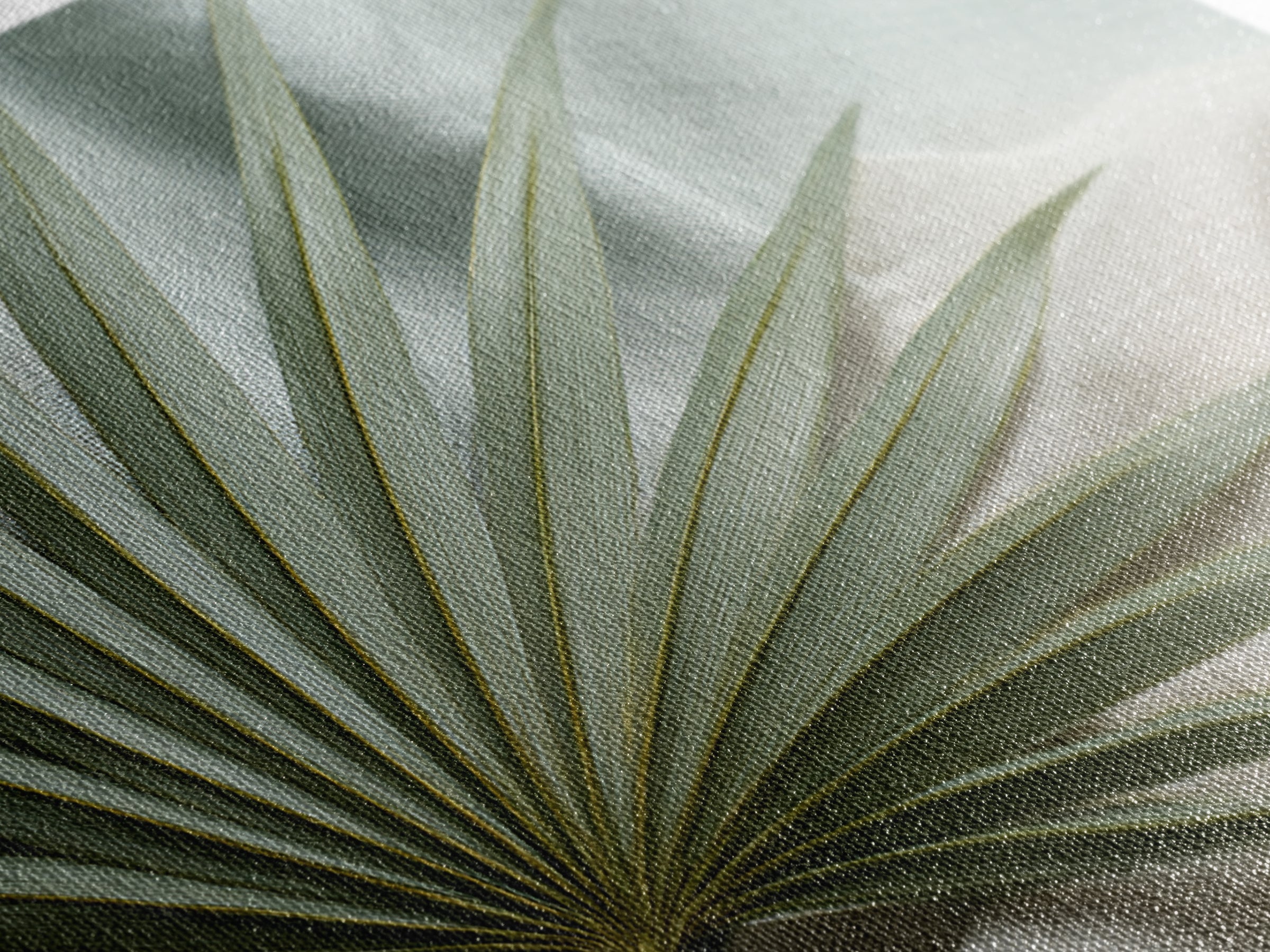 Simple Palm Frond on Off White Linen Canvas Print, Bathroom Art, Canvas Wall Art, Bathroom Decor, Spa, Bathroom Wallpaper, BAT-3x2-51