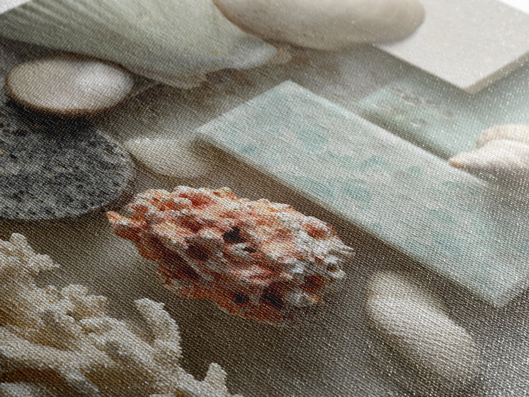 Coral and Shell Arrangement Framed Canvas Print, Bathroom Art, Contemporary Art, Bathroom Decor, Fine Art, Spa, Framed Wall Art, BAT-3x2-63