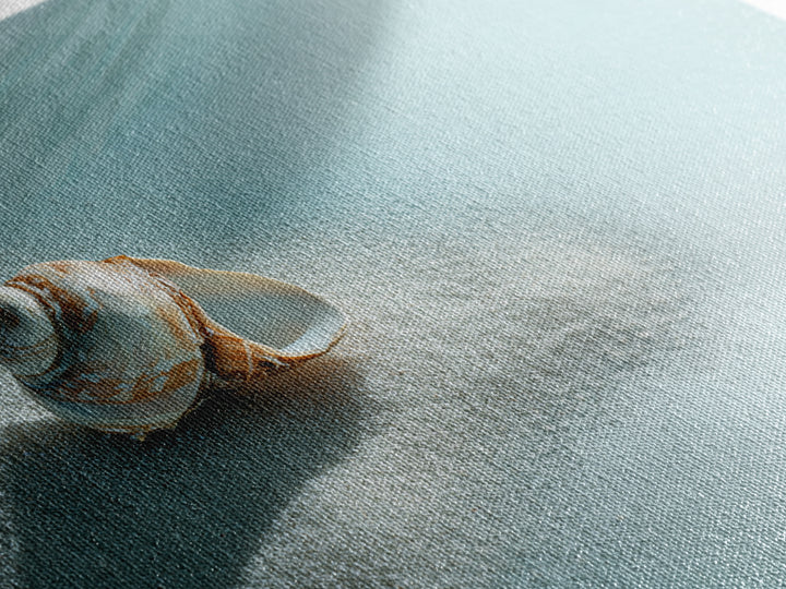 Minimal Seashell Still Life on Pale Sand Framed Canvas Print, Bathroom Art, Digital Print, Bathroom Decor, Watercolor Art, Spa, BAT-3x2-79