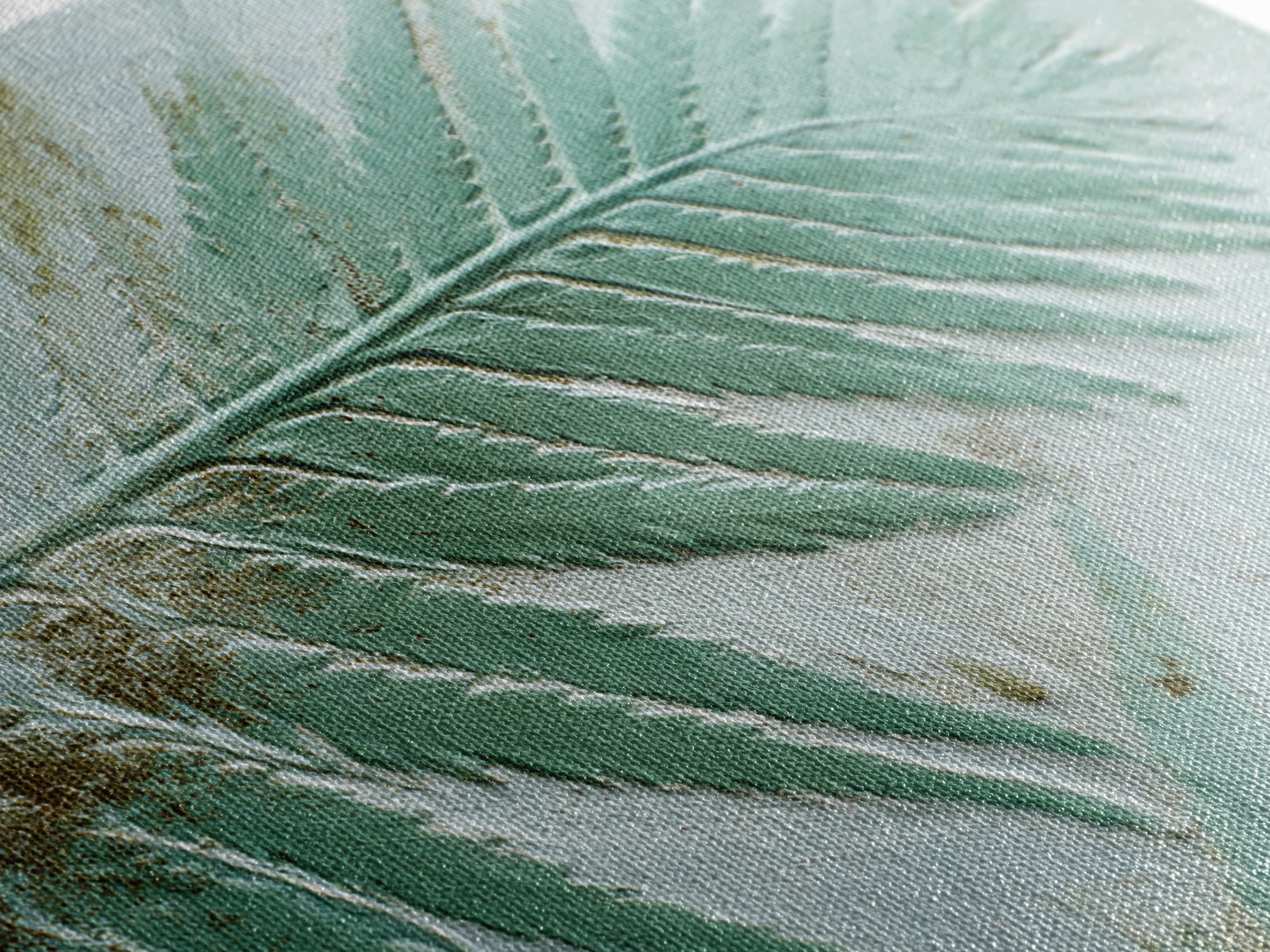 Green Fern Frond Closeup Framed Canvas Print, Bathroom Art, Dog Portrait, Bathroom Decor, Fine Art, Spa, Minimalist Wall Art, BAT-3x2-86