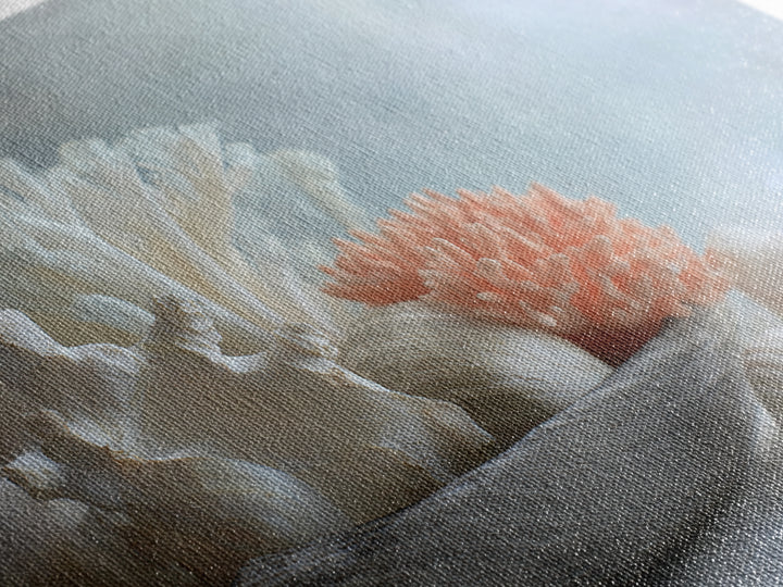 Coral and Shell Arrangement Framed Canvas Print, Bathroom Art, Bathroom Accessories, Bathroom Decor, Spa, Fine Art Print, BAT-3x2-87