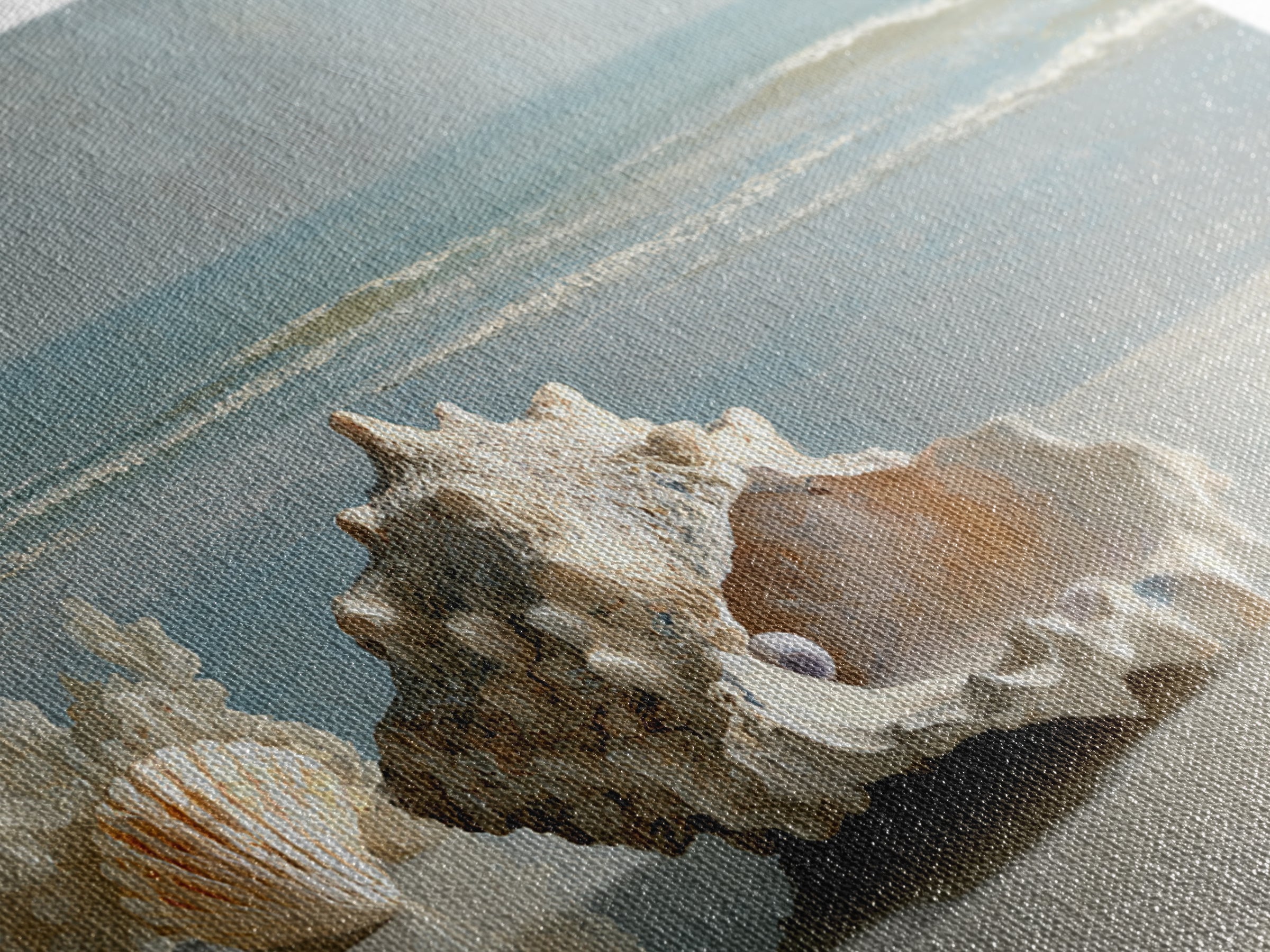 Oyster Shell Study Canvas Print, Bathroom Art, Dopamine Decor, Bathroom Decor, Fine Art, Spa, Halloween Art, Trendy Wall Art, BAT-3x2-98