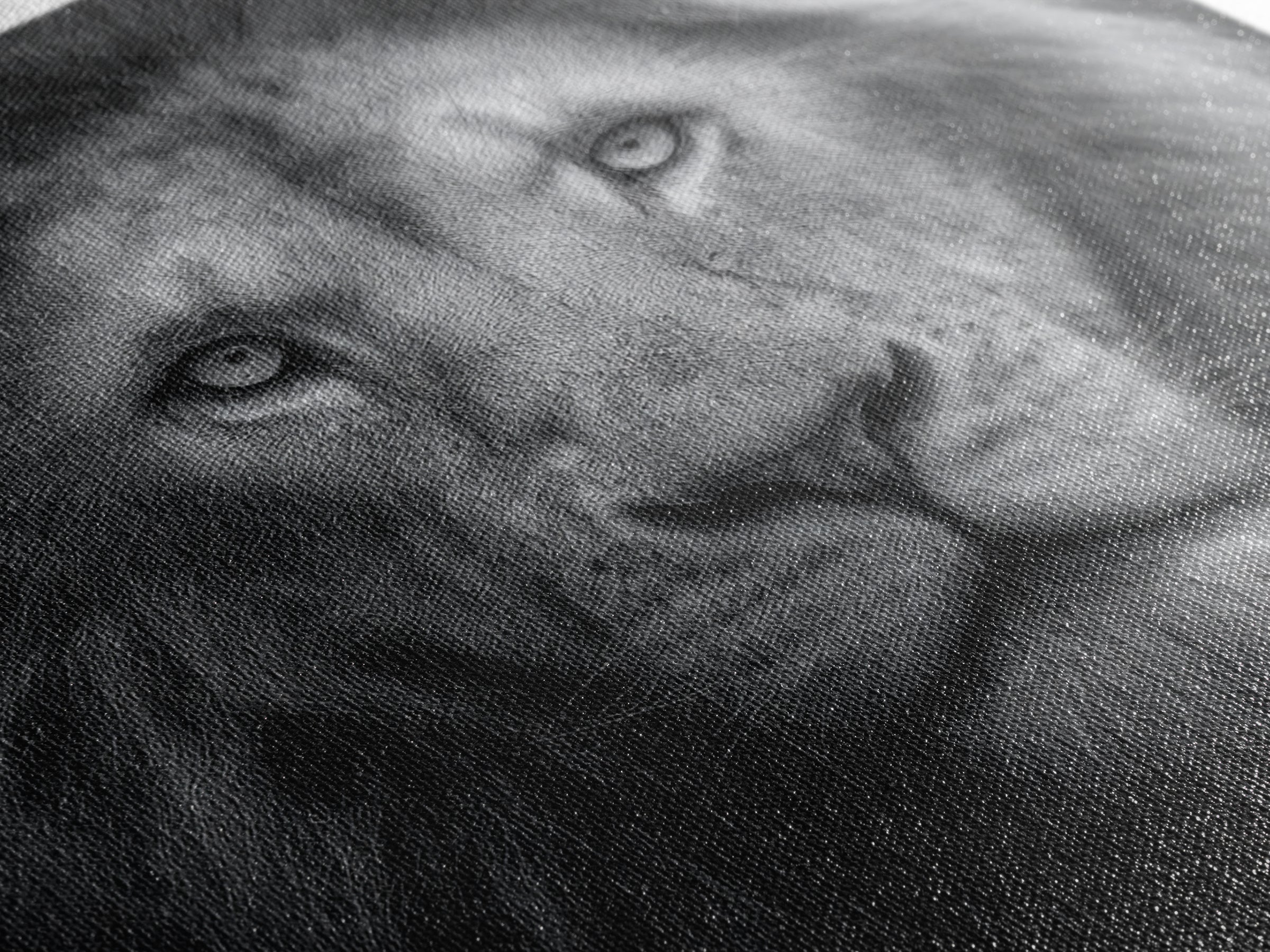 Dramatic Black and White Lion Portrait Canvas Print, Black and White Art, Gallery Decor, Living Room Decor, Monochrome, BAW-1x1-17