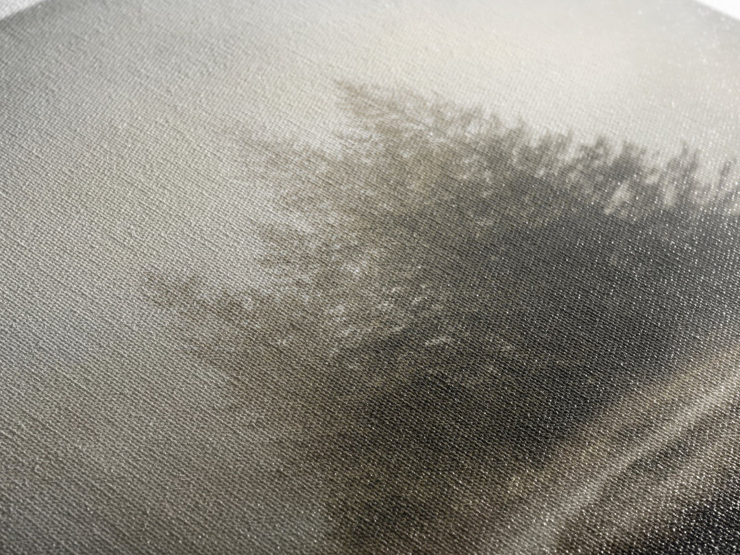 Moody Foggy Forest Canvas Print, Black and White Art, Printable Art, Living Room Decor, Fine Art, Monochrome, Gallery Decor, BAW-1x1-31