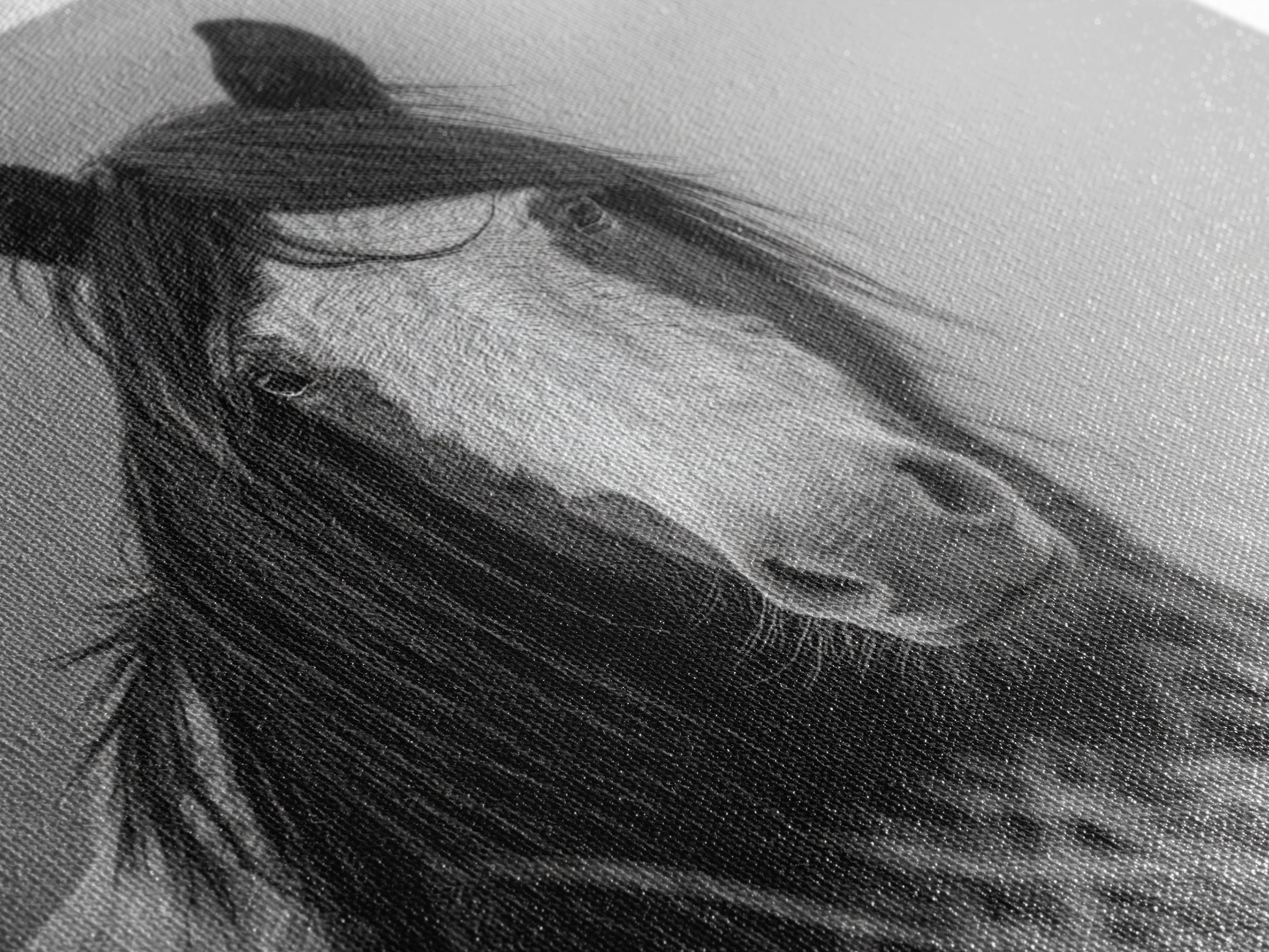 Black and White Wild Horse Portrait Canvas Print, Black and White Art, Fine Art Print, Living Room Decor, Oil Painting, BAW-1x1-5