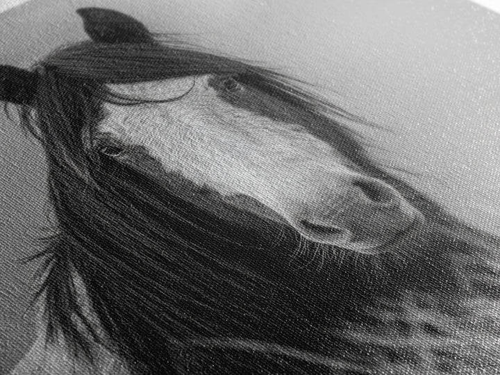 Black and White Wild Horse Portrait Canvas Print, Black and White Art, Fine Art Print, Living Room Decor, Oil Painting, BAW-1x1-5