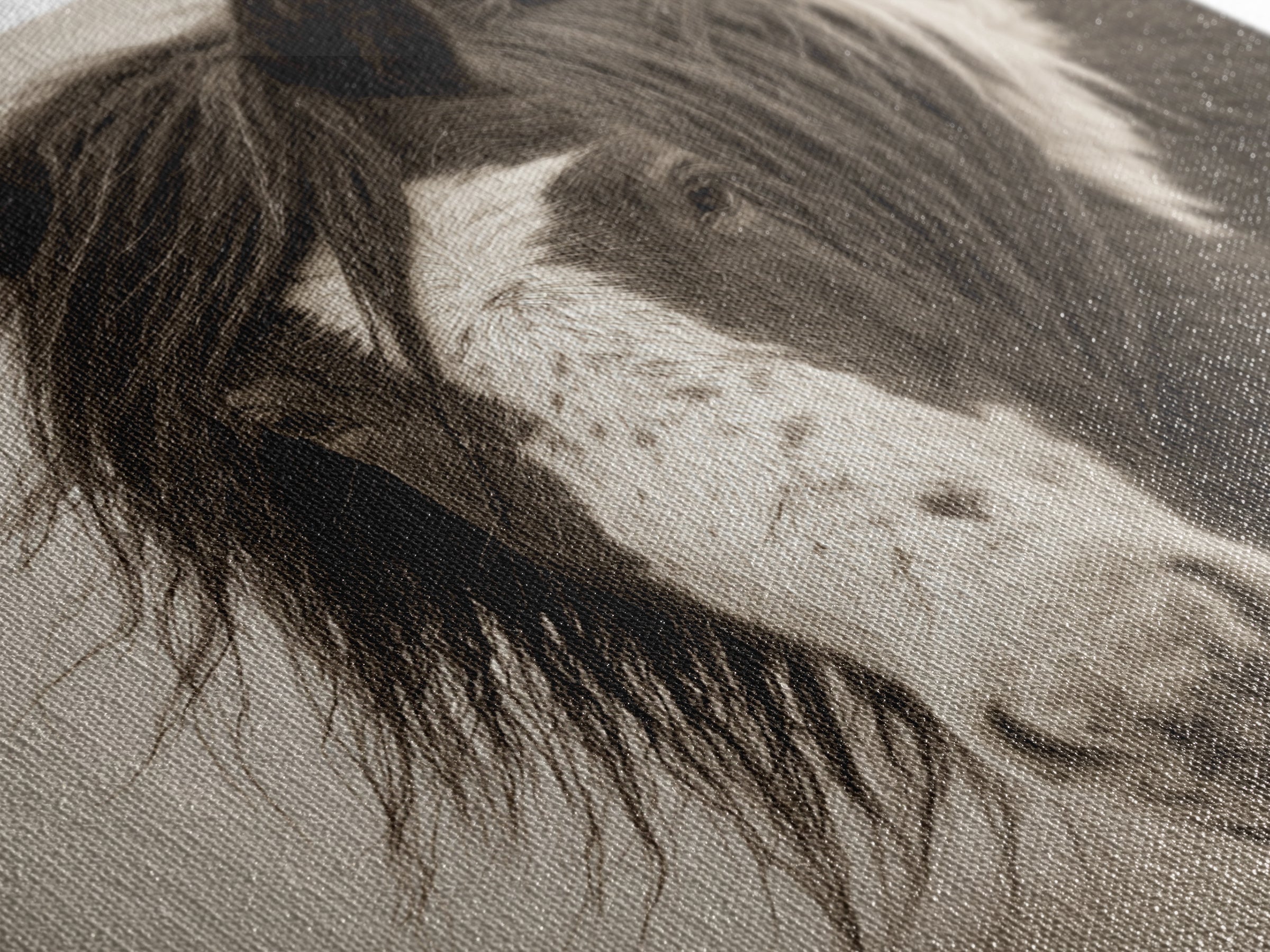 Black and White Wild Horse Portrait Framed Canvas Print, Black and White Art, Textured Painting, Living Room Decor, Monochrome, BAW-1x1-53