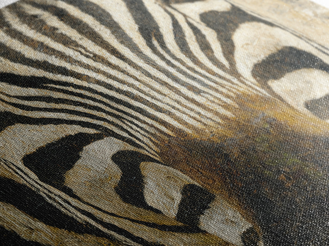 Zebra Stripe Closeup as Graphic Abstraction Canvas Print, Black and White Art, Living Room Decor, Monochrome, BAW-1x1-56