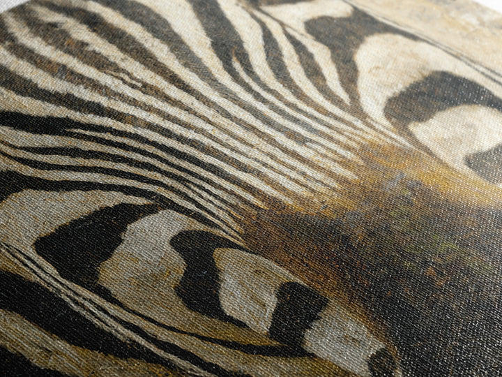 Zebra Stripe Closeup as Graphic Abstraction Canvas Print, Black and White Art, Living Room Decor, Monochrome, BAW-1x1-56