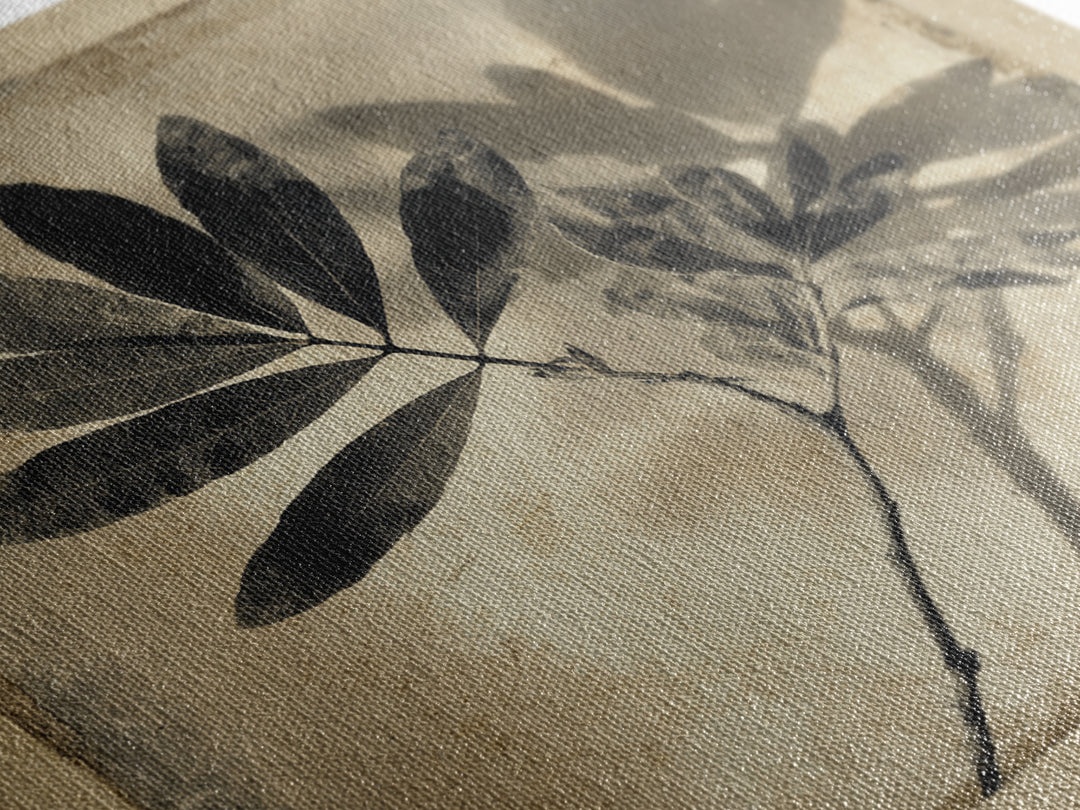 Black and White Botanical Specimen Plate Canvas Print, Black and White Art, Cabin Decor, Living Room Decor, Monochrome, BAW-1x1-71