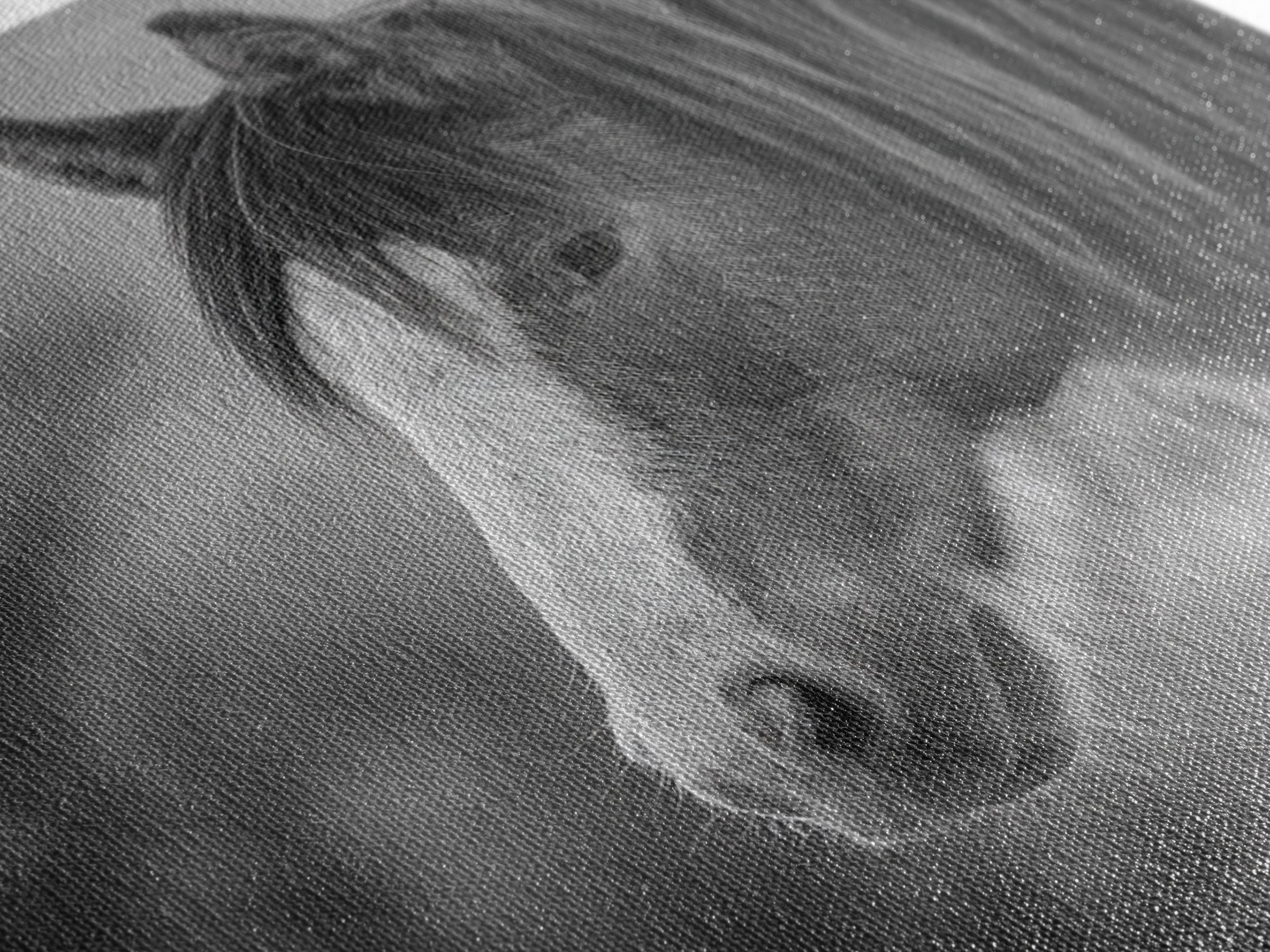 Black and White Wild Horse Portrait Canvas Print, Black and White Art, Art, Living Room Decor, Monochrome, Original Art, BAW-1x1-77