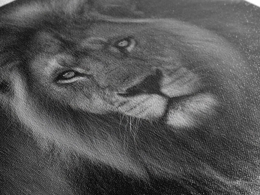 Dramatic Black and White Lion Portrait Canvas Print, Black and White Art, Contemporary Art, Living Room Decor, Monochrome, BAW-1x1-89