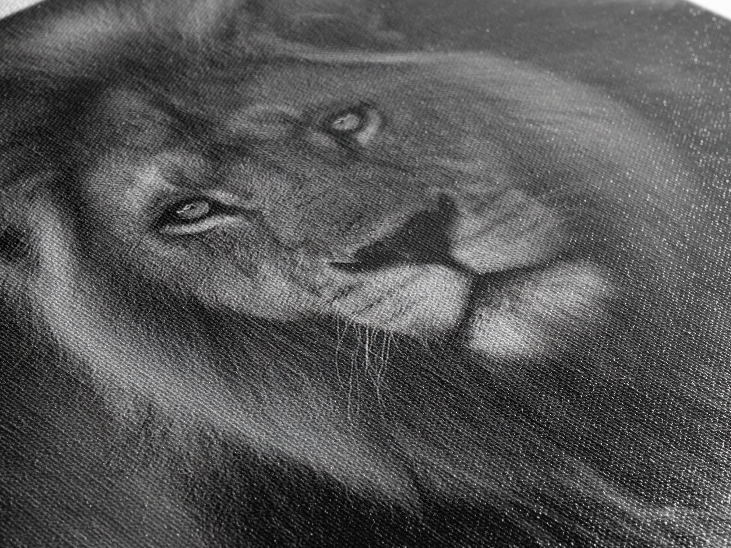 Dramatic Black and White Lion Portrait Canvas Print, Black and White Art, Contemporary Art, Living Room Decor, Monochrome, BAW-1x1-89
