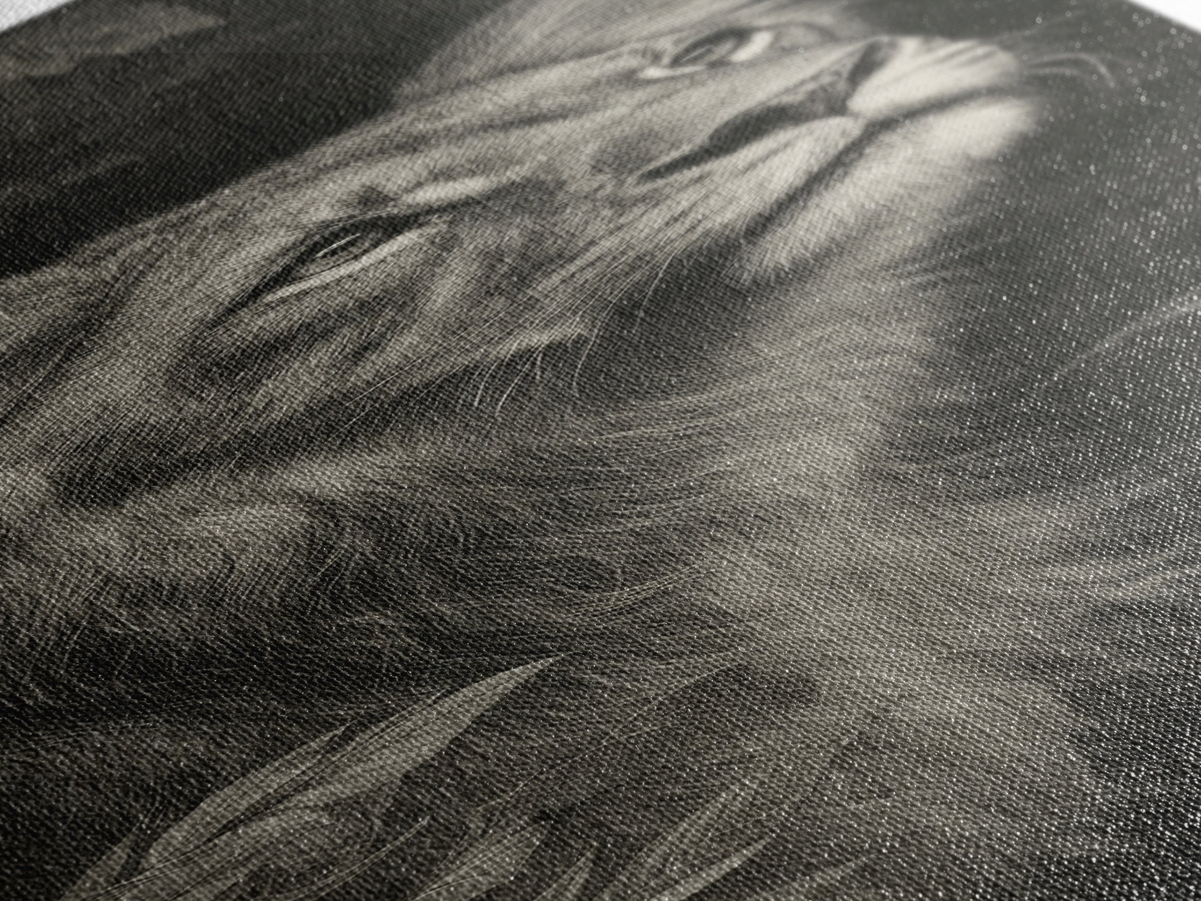Dramatic Black and White Lion Portrait Canvas Print, Black and White Art, Textured Painting, Living Room Decor, Monochrome, BAW-1x3-29