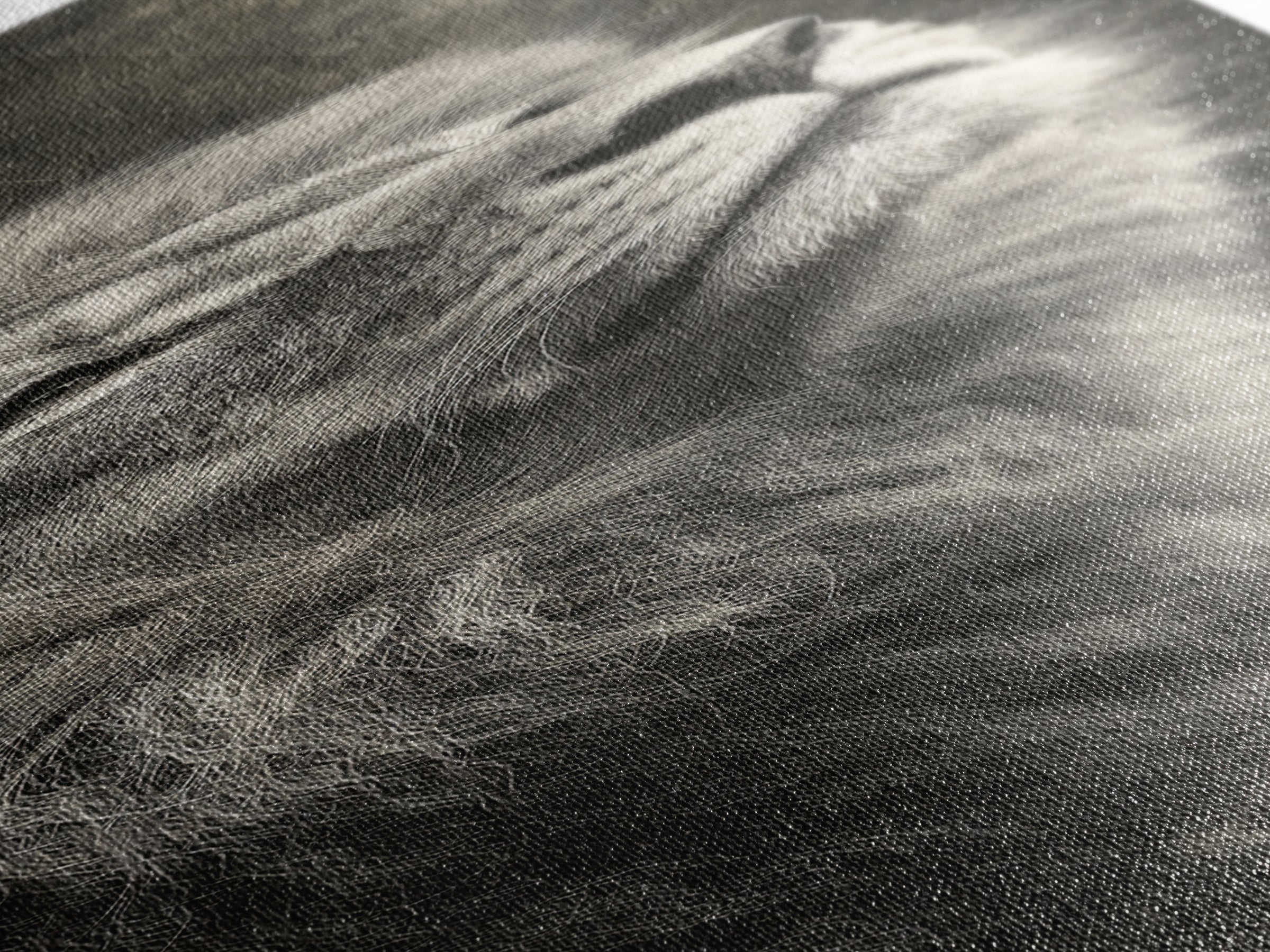 Dramatic Black and White Lion Portrait Canvas Print, Black and White Art, Textured Painting, Living Room Decor, Monochrome, BAW-1x3-53
