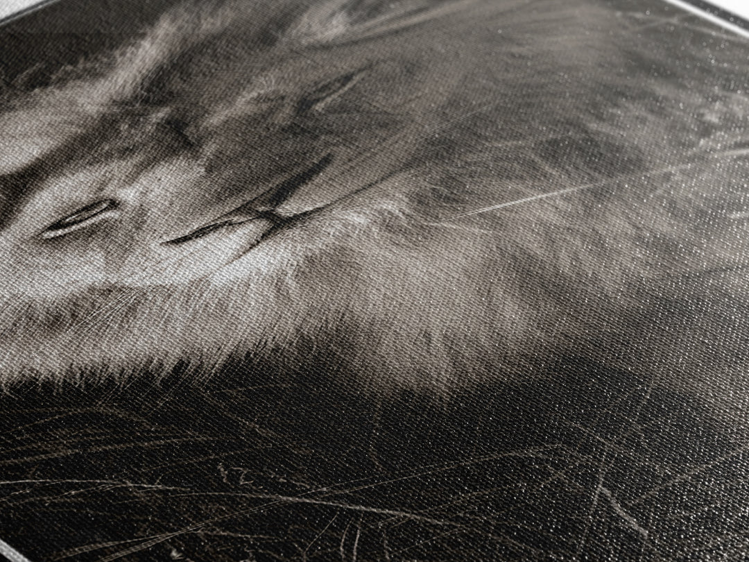 Dramatic Black and White Lion Portrait Canvas Print, Black and White Art, Art, Living Room Decor, Fine Art, Monochrome, BAW-1x3-77