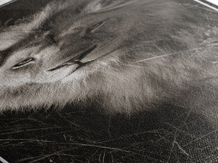 Dramatic Black and White Lion Portrait Canvas Print, Black and White Art, Art, Living Room Decor, Fine Art, Monochrome, BAW-1x3-77