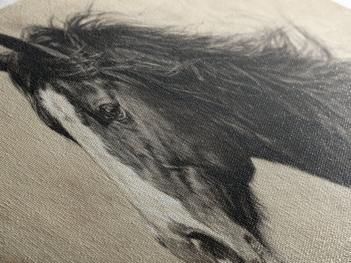 Black and White Wild Horse Portrait Framed Canvas Print, Black and White Art, Art Print, Living Room Decor, Monochrome, BAW-2x1-1