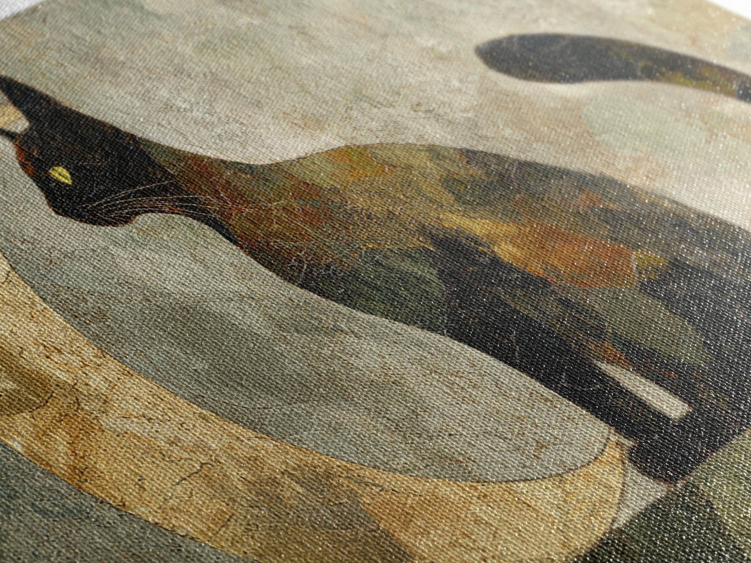 Black Cat Silhouette Framed Canvas Print, Black and White Art, Room Decor, Living Room Decor, Fine Art, Monochrome, Art Print, BAW-2x1-12