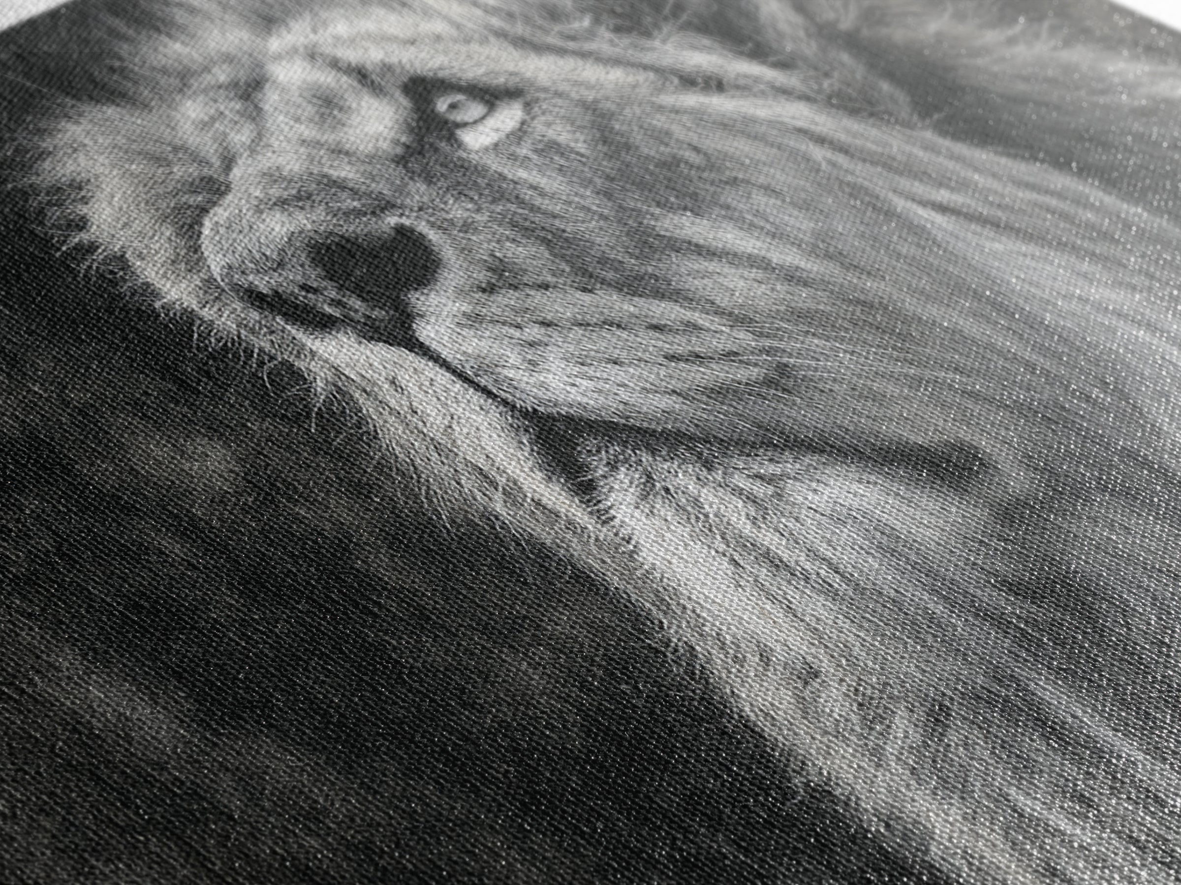 Dramatic Black and White Lion Portrait Canvas Print, Black and White Art, Halloween Decor, Living Room Decor, Monochrome, BAW-2x1-13